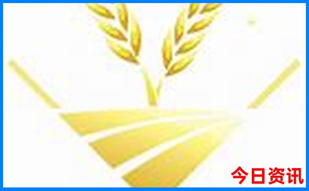 昆明到大理中途有什么景点